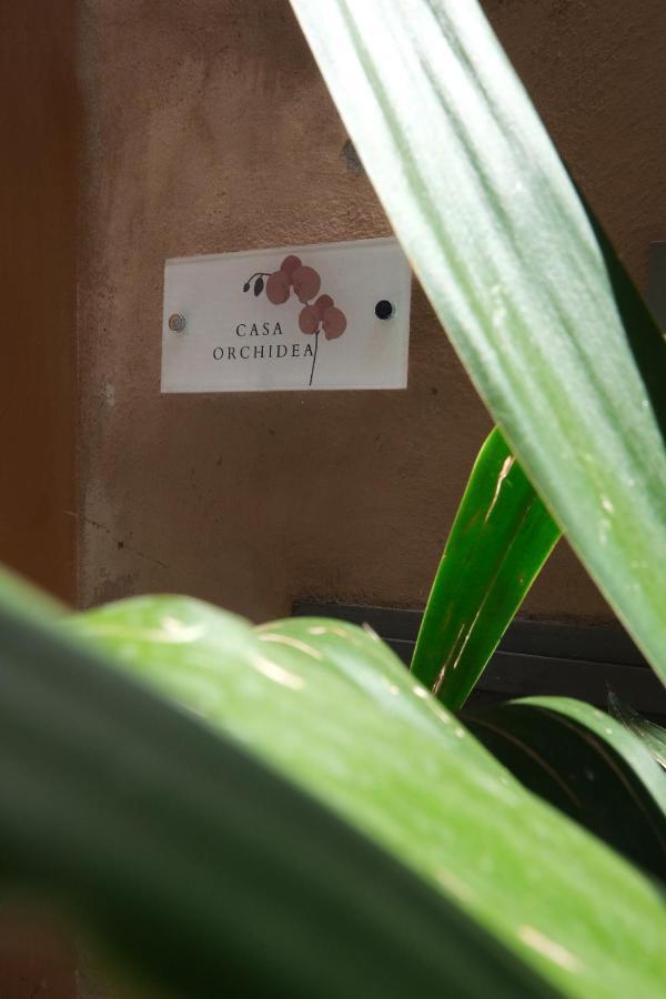 Casa Orchidea Roma Exterior foto